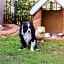 Richard's Pet Friendly Motel