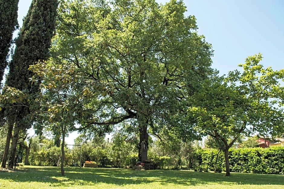 B&B Le Cinque Querce