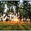 All Seasons Country Lodge