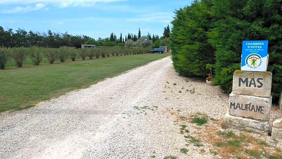 MAS MAURANE-Roulotte avec SPA privé aux portes d'ARLES