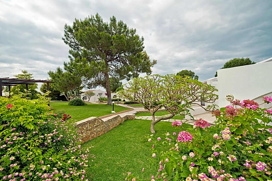 The Olive Tree Hotel