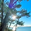 La Cabane Bohème, Maison d'hôtes Bassin d'Arcachon