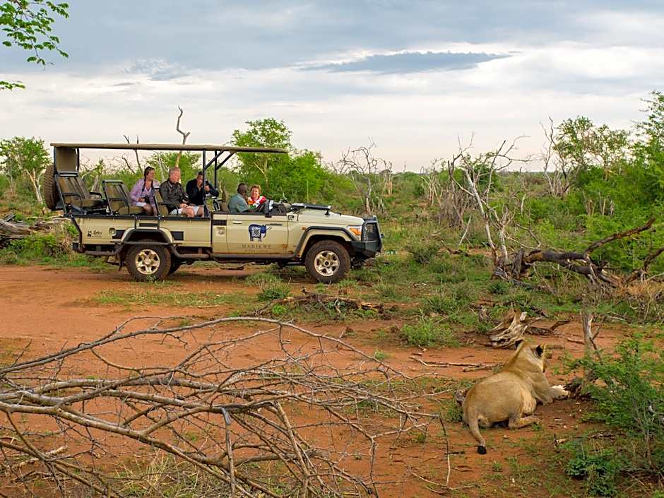 Madikwe River Lodge