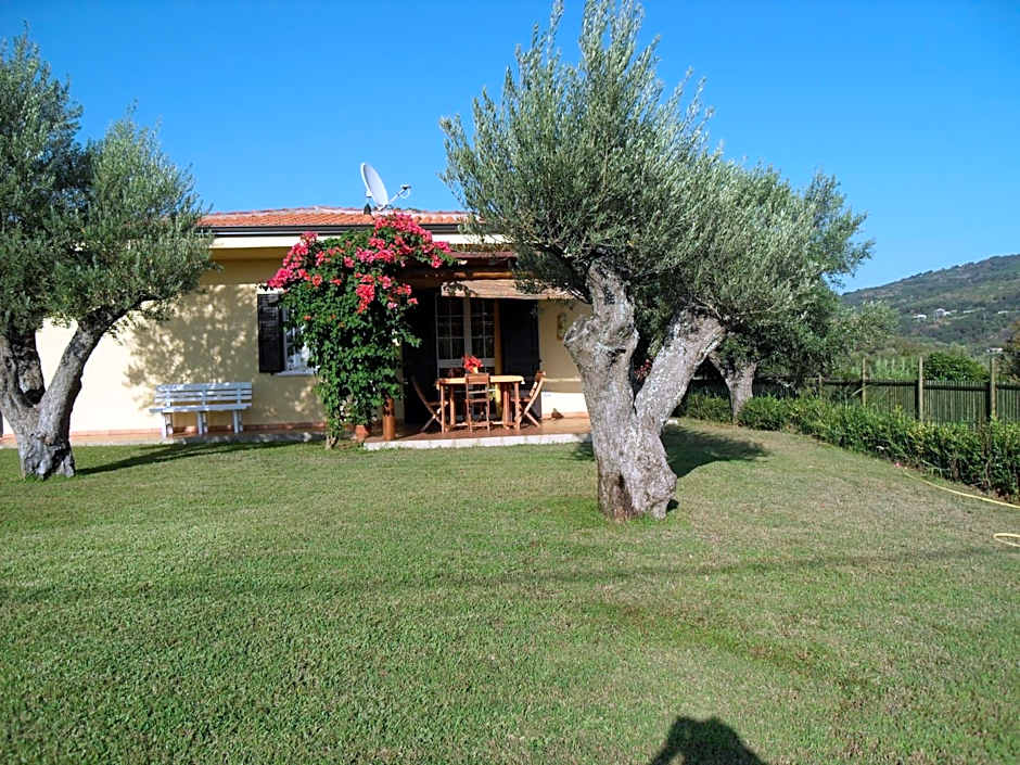 Villa Mimosa Tropea