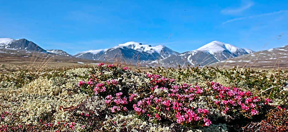 Thon Partner Hotel Otta