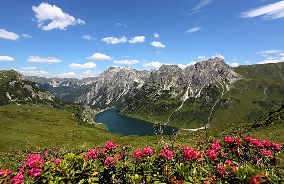 Landhotel Almrösl im Großarltal