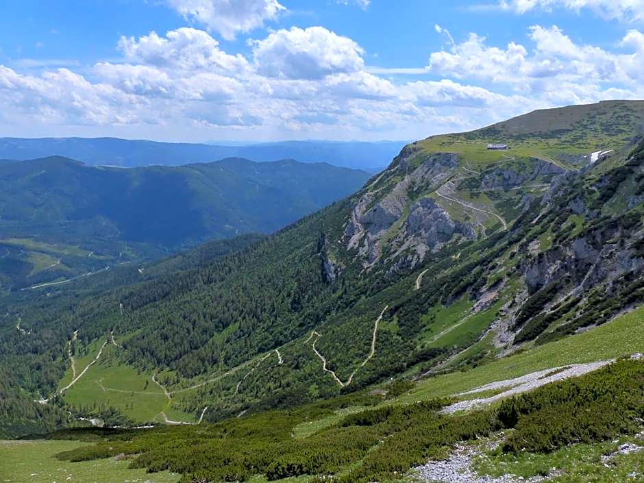 Hotel Payerbacherhof