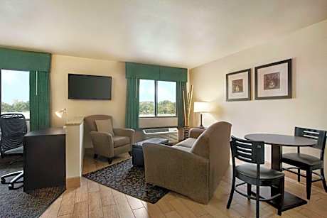 King Studio Suite - Non-Smoking