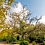 Htl & Villas Comala, alberca , parking, centricas, Petfriendly