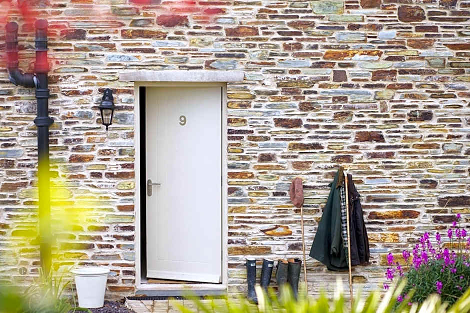 The Plume of Feathers