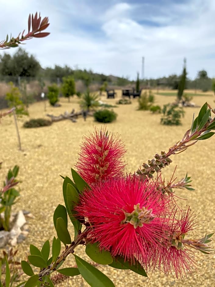 B&B Casa Blanca Oria