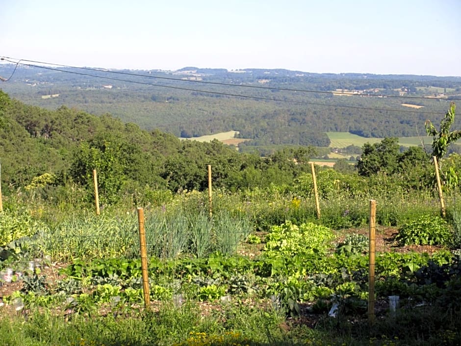 Nature et Piscine au sommet du Périgord