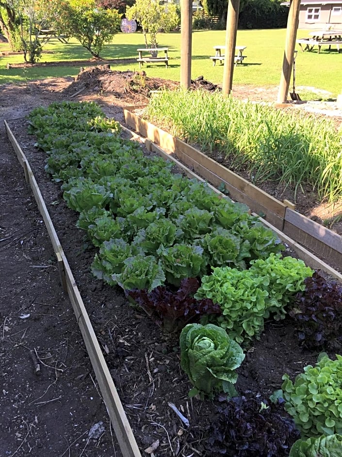 Waiteti Lakefront Motel