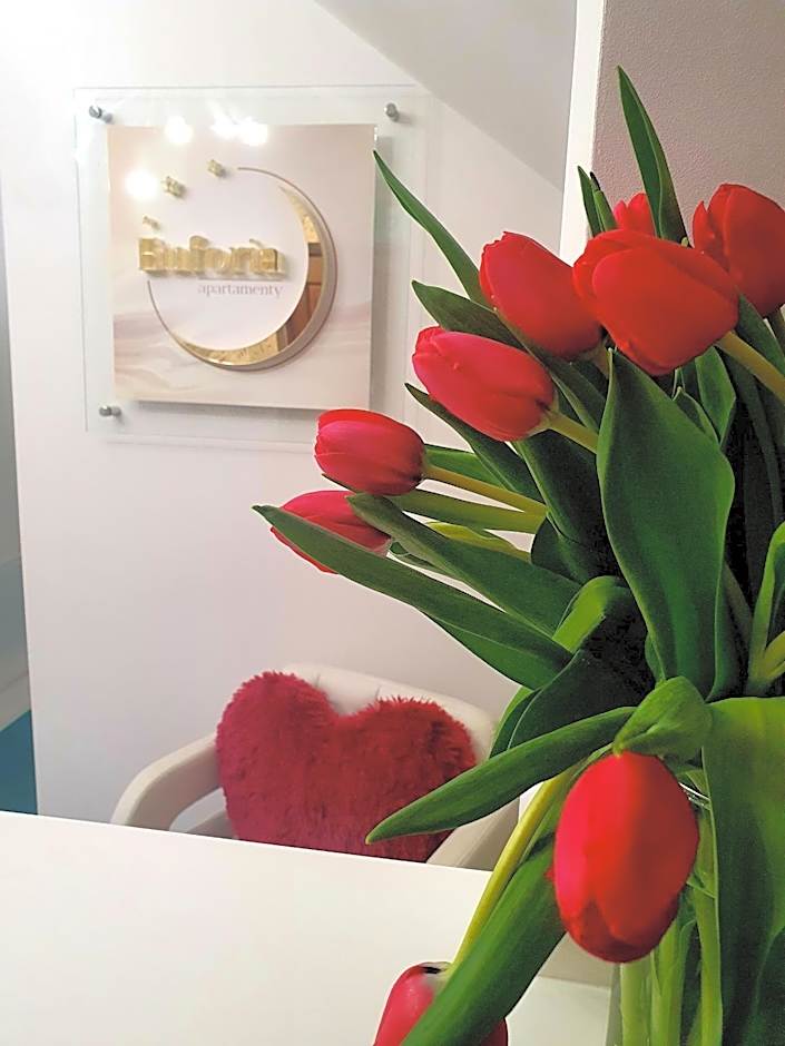 Euforia Apartamenty