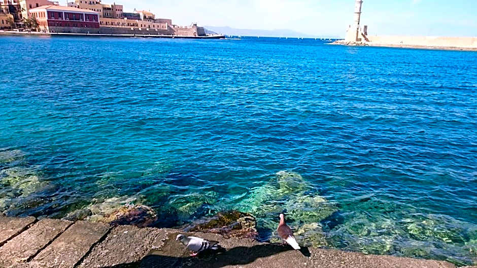 Mythos- Platanias- Hotel -Apts