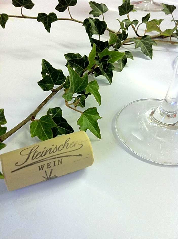 Panoramahotel Steirerland