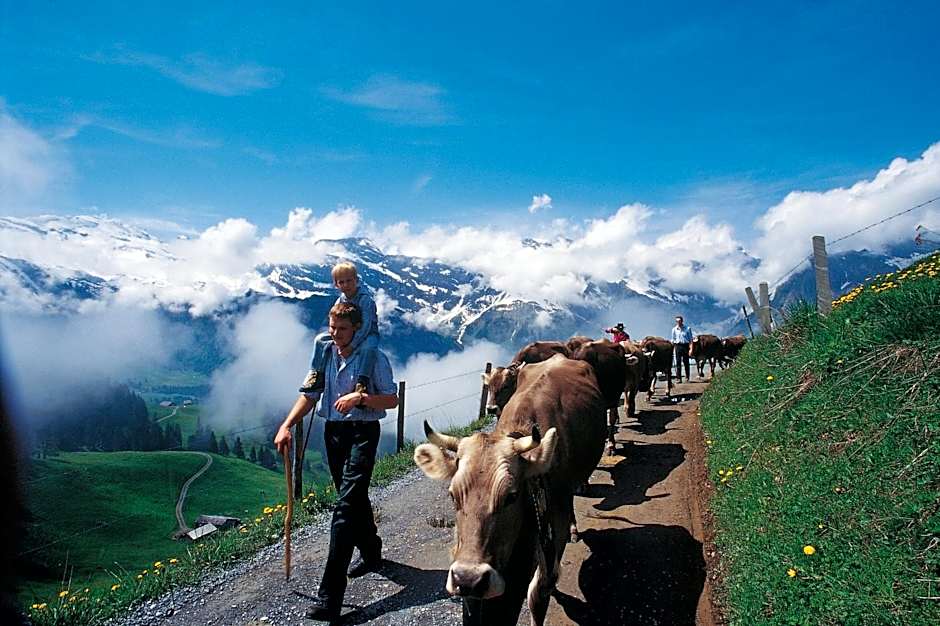 H+ Hotel & SPA Engelberg