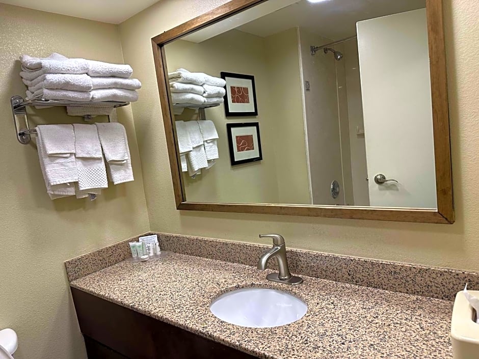 Vista Suites Pigeon Forge, SureStay Collection by BW