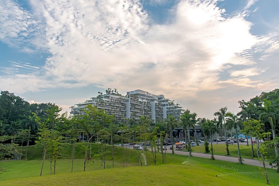 FOREST IN THE SKY - FLAMINGO DAI LAI