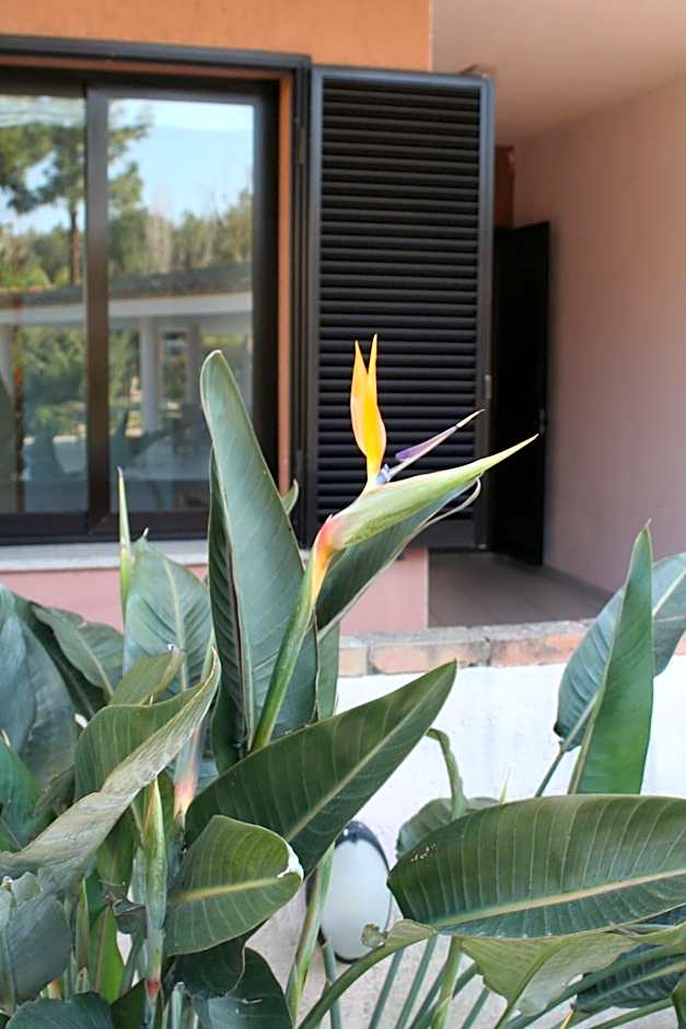 Verdemare Sardegna Uno