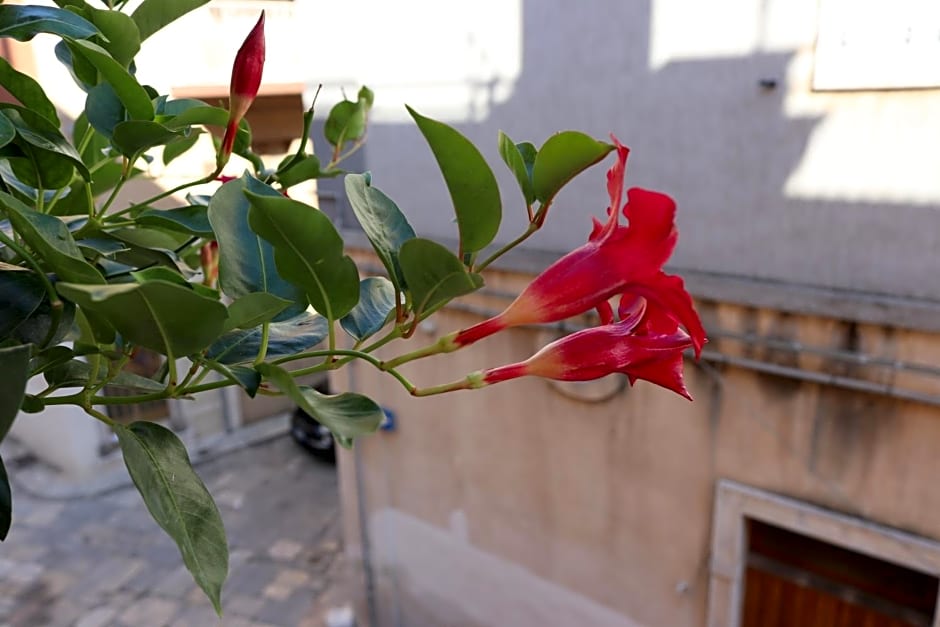 B&B Casa Antica – Fasano, AR