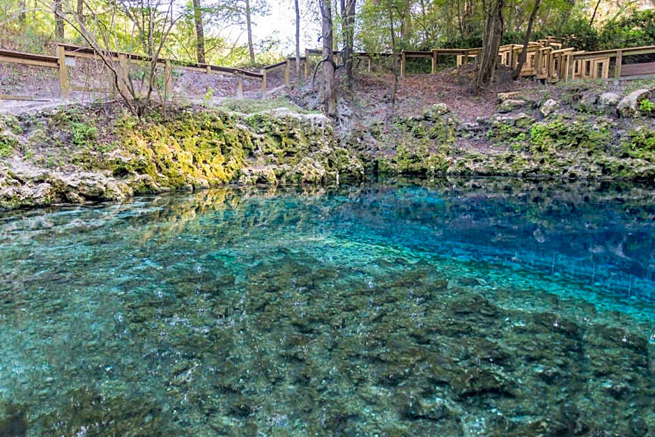 Super 8 by Wyndham Madison