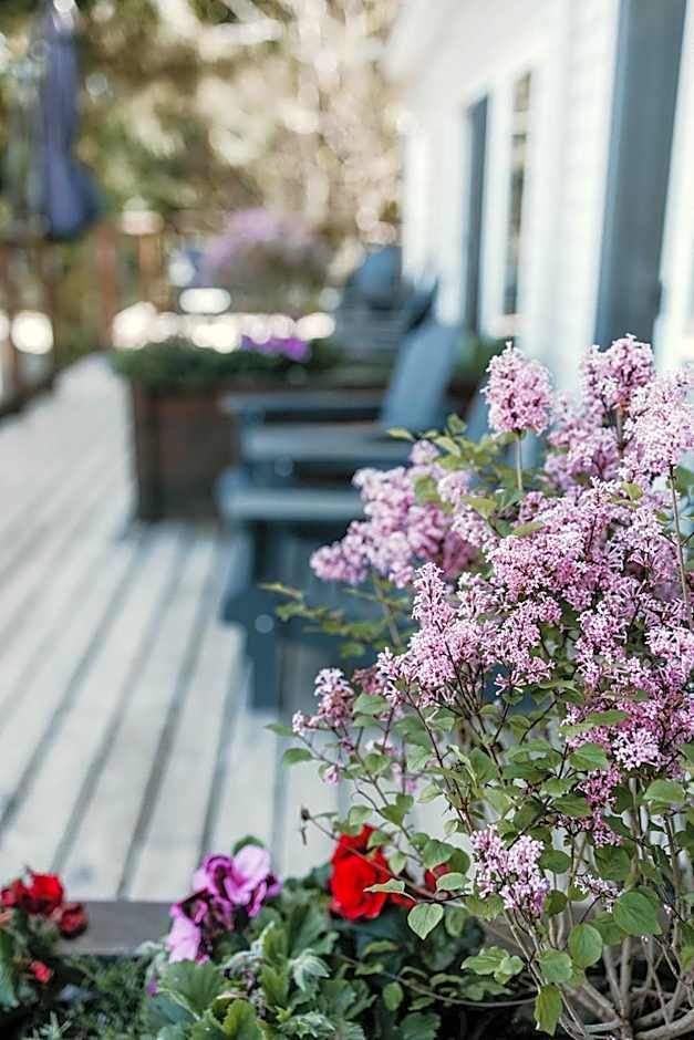 Page's Inn on Silva Bay