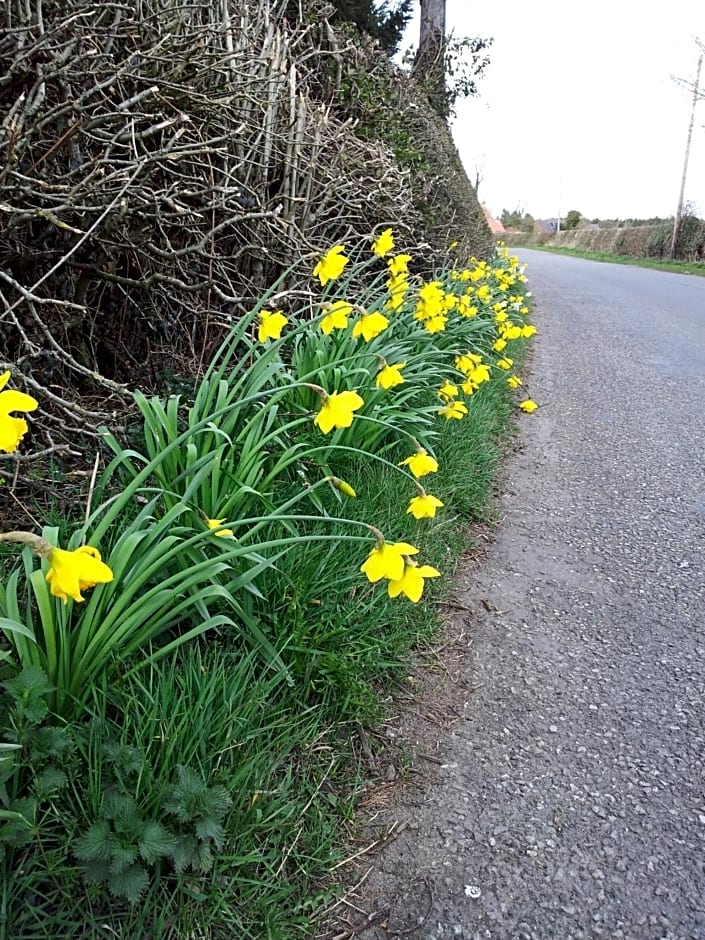 Bed and Breakfast Ashfield