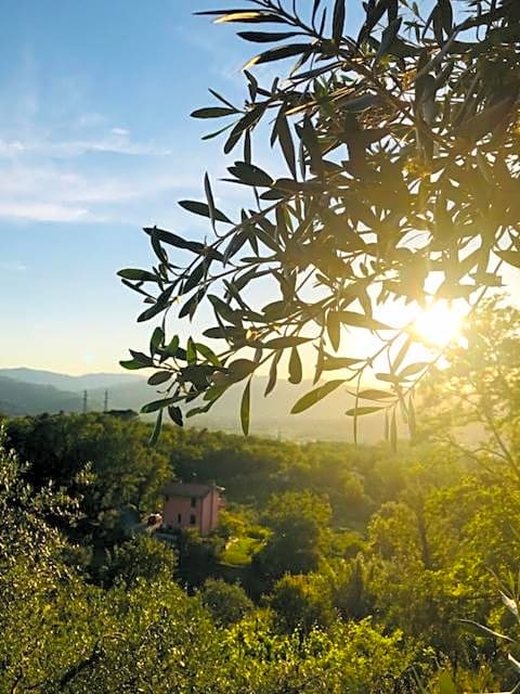 Locanda La Trigola