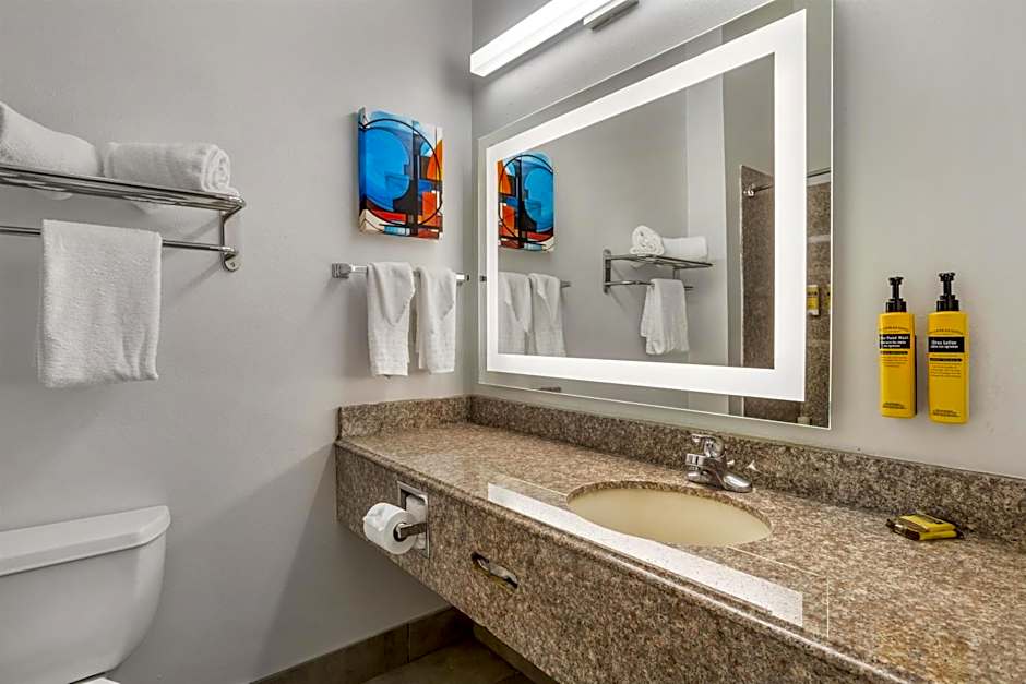 Best Western Plus New Caney Inn & Suites