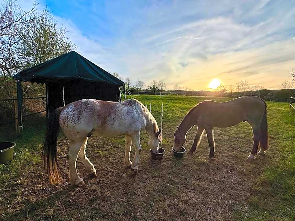 Chambres d'hôtes les Etoiles