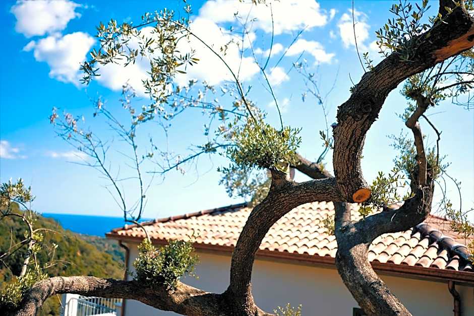 Country House “ Il Mandorlo”