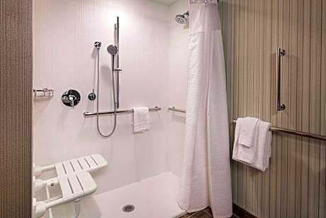 Room, 1 King Bed (Mobility Accessible, Roll-In Shower) (1 King Bed)