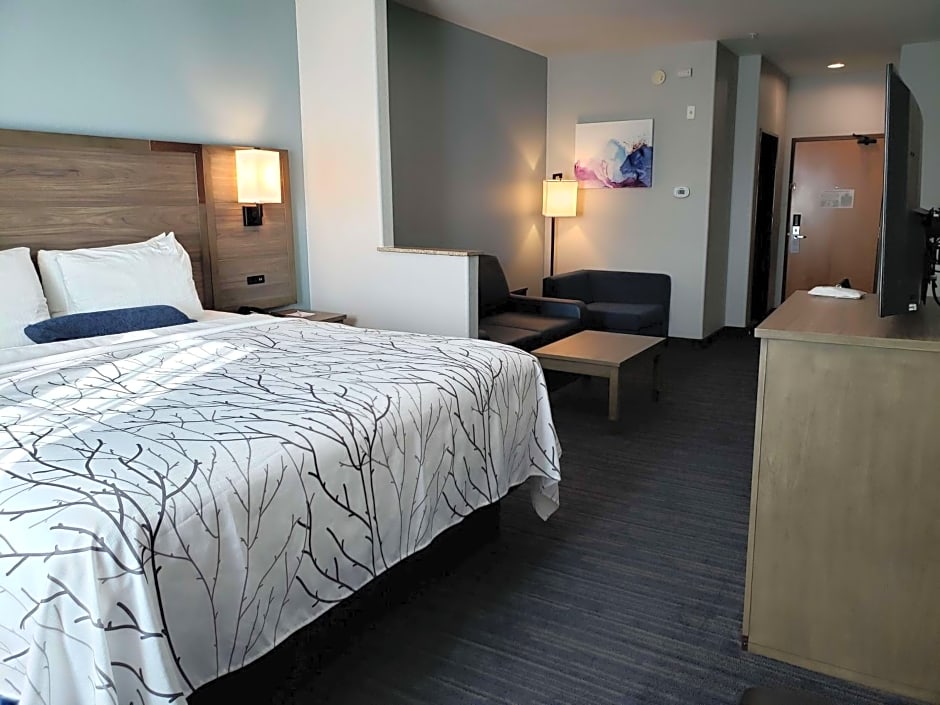 Best Western Plus San Antonio East Inn & Suites