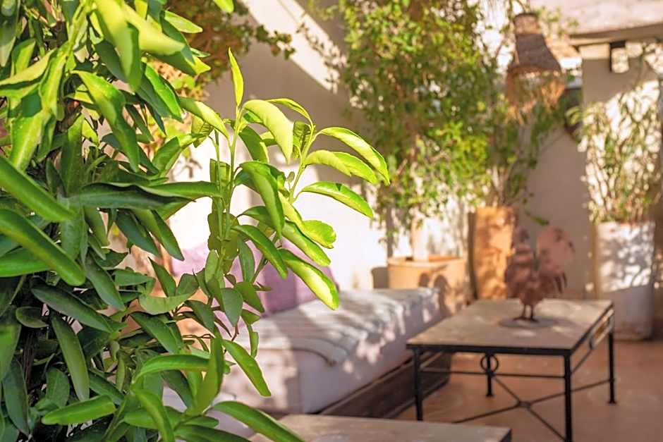 Riad Le Coq Berbère