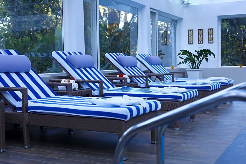 The Tall Trees Munnar