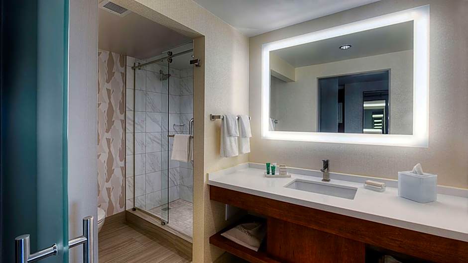 Hilton Norfolk The Main