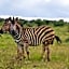 Khululeka Safaris Lodge
