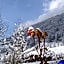Haus Tirol