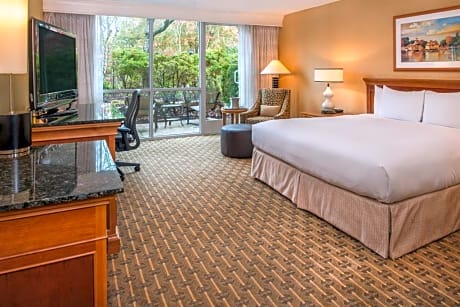 1 King Pool Vw Mobility Accessible W/ Ri Shwr