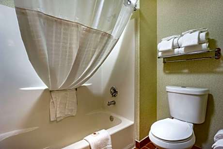 King Room - Pet Friendly