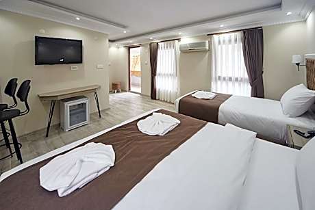 Standard Triple Room with Terrace