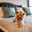 The Granary - La Suite Hotel