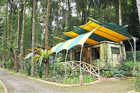 Safari Resort