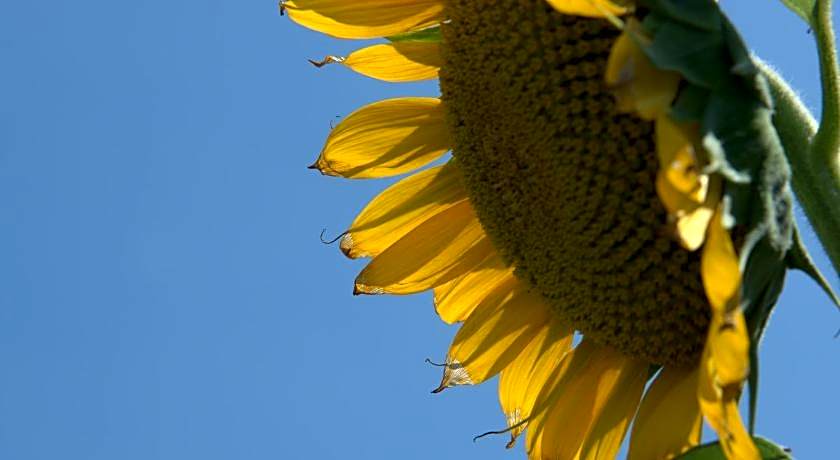 Elounda Solfez Villas