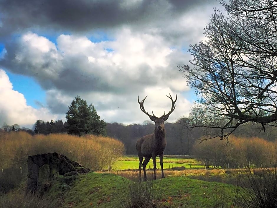 La Tiny du Parc : Saint Symphorien des Monts