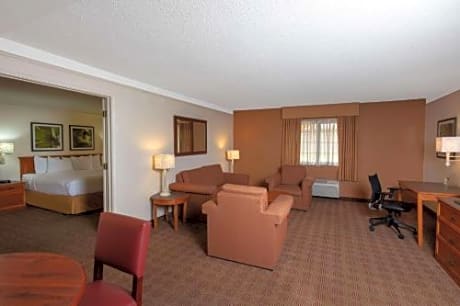 One-Bedroom Deluxe King Suite - Non-Smoking