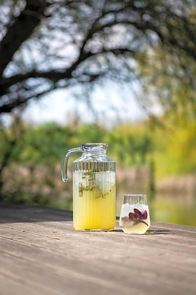 LivingIn Delta - Casa de Vacanta