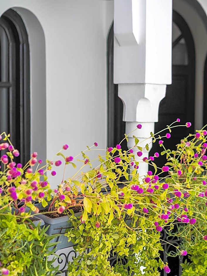 Riad Come & Va Medina