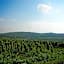 Landhotel & Weingut Espenhof